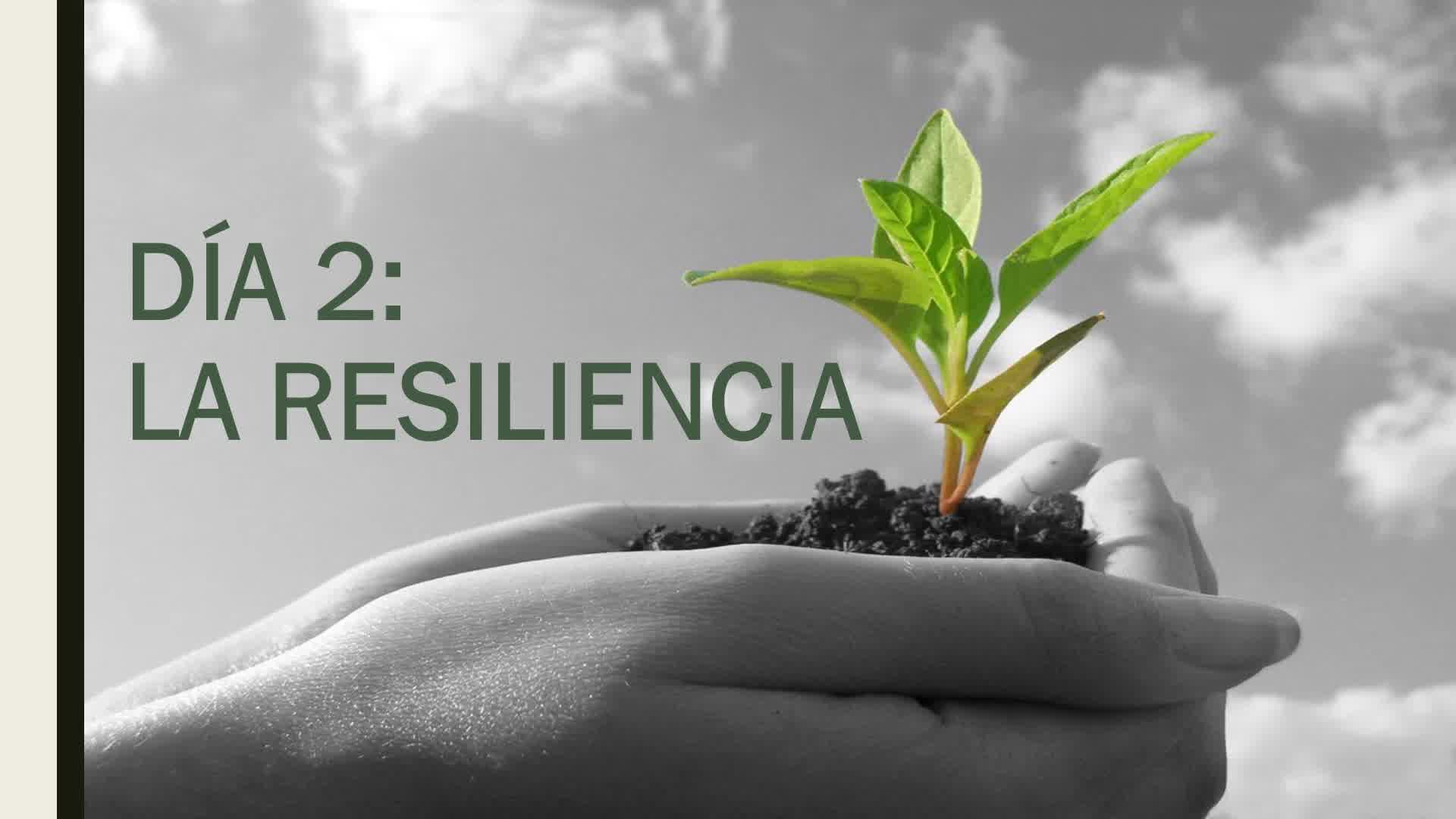 DIA 2 - RESILIENCIA